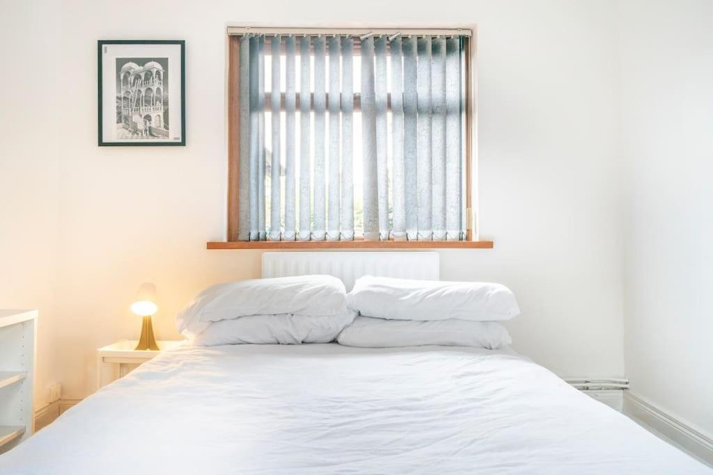 Modern 3 Bedroom House Close To Ferry And City Centre ベルファスト エクステリア 写真